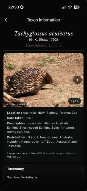 Species information in the MDD app