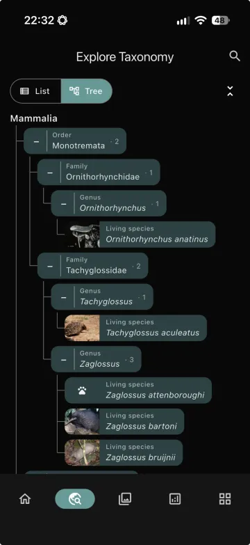 MDD app taxonomy tree showing monotremes from order to species with thumbnails