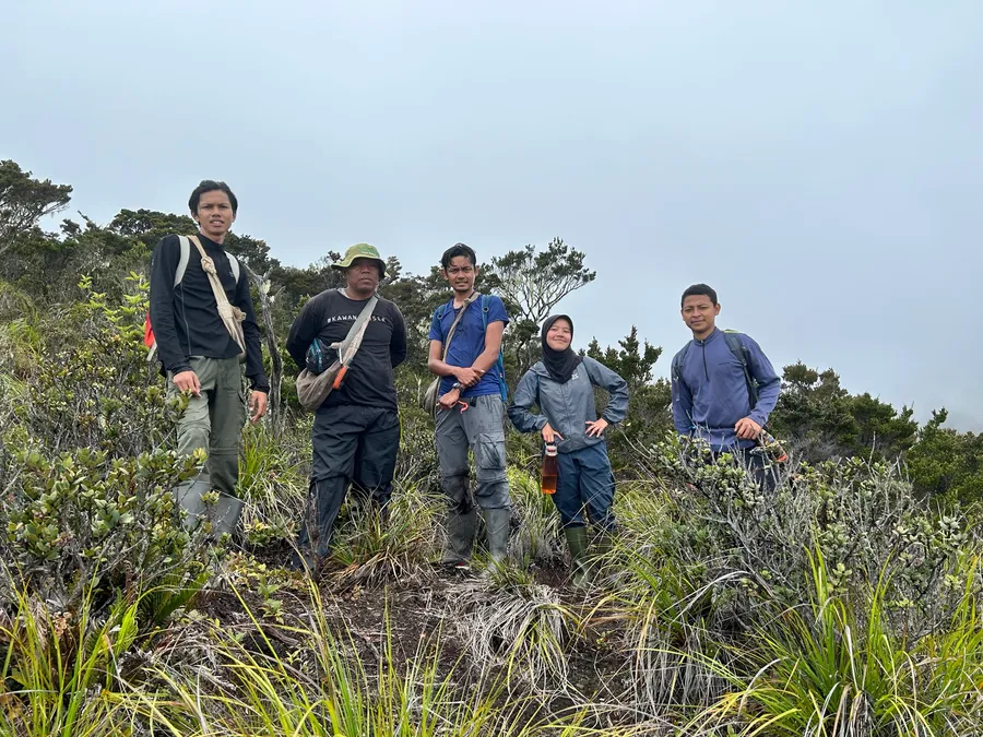 Field team on a montane ridge trail