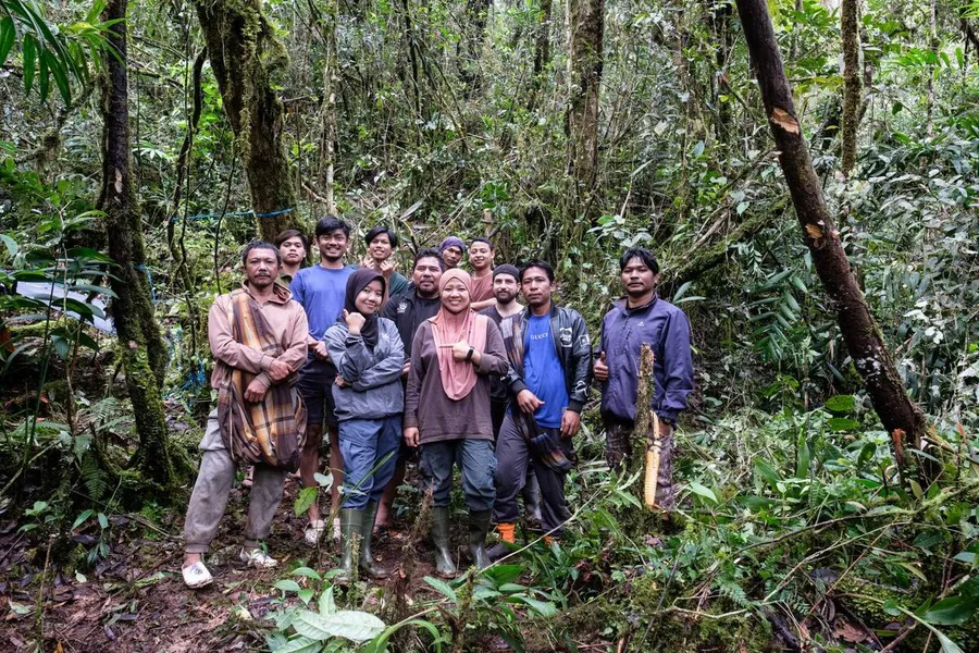 Field team of researchers and local guides in a mossy montane forest