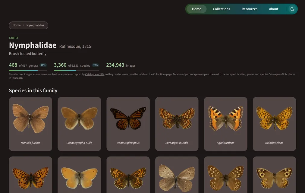 LepiVerse Nymphalidae family page in dark mode with genus, species, and image counts